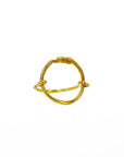 Life in Circle Ring
