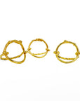Life in Circle Ring